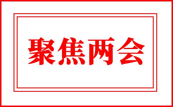 2020两会精神学习心得体会10篇贯彻落实两会精神感想精选