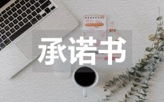 <b>个人房屋转让承诺书_个人房屋转让承诺书模板</b>