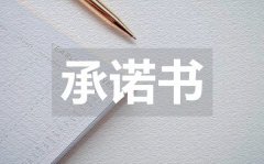 <b>学校师德师风承诺书_学校师德师风承诺书模板</b>