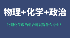 <b>物理化学政治组合可以选什么专业_可以报考哪些专业？</b>