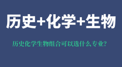 <b>历史化学生物组合可以选什么专业_好吗_有什么优势和风险？</b>