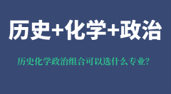 <b>历史化学政治组合可以选什么专业_优势和弊端都是什么</b>