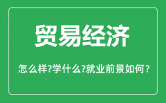 贸易经济专业怎么样_贸易经济专业主要学什么_就业前景怎么样?