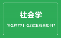 社会学专业怎么样_社会学专业主要学什么_就业前景怎么样？