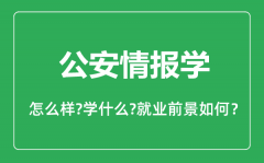 公安情报学专业怎么样_公安情报学专业主要学什么_就业前景怎么样？