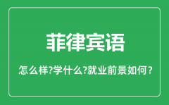 菲律宾语专业怎么样_菲律宾语专业主要学什么_就业前景怎么样?