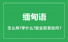 缅甸语专业怎么样_缅甸语专业主要学什么_就业前景怎么样?