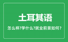 土耳其语专业怎么样_土耳其语专业就业方向及前景分析