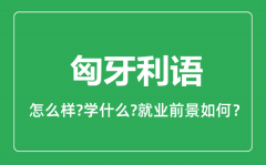 匈牙利语专业怎么样_匈牙利语专业就业方向及前景分析