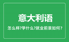 意大利语专业怎么样_意大利语专业就业方向及前景分析