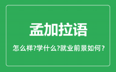 孟加拉语专业怎么样_孟加拉语专业就业方向及前景分析