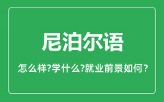 尼泊尔语专业怎么样_尼泊尔语专业就业方向及前景分析