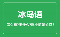 冰岛语专业怎么样_冰岛语专业就业方向及前景分析