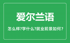 爱尔兰语专业怎么样_爱尔兰语专业就业方向及前景分析