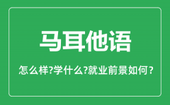 马耳他语专业怎么样_马耳他语专业就业方向及前景分析