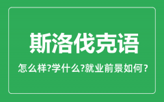 斯洛伐克语专业怎么样_斯洛伐克语专业就业方向及前景分析