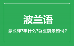 波兰语专业怎么样_波兰语专业就业方向及前景分析