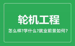 轮机工程专业怎么样_轮机工程专业就业方向及前景分析