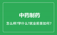 中药制药专业怎么样_中药制药专业就业方向及前景分析