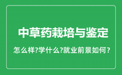 中草药栽培与鉴定专业怎么样_就业方向及前景分析