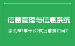 信息管理与信息系统专业怎么样_就业方向及前景分析