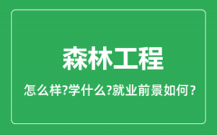 森林工程专业怎么样_森林工程专业就业方向及前景分析