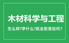 木材科学与工程专业怎么样_就业方向及前景分析