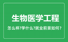 生物医学工程专业怎么样_就业方向及前景分析