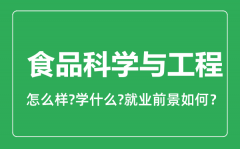 食品科学与工程专业怎么样_就业方向及前景分析