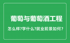 葡萄与葡萄酒工程专业怎么样_就业方向及前景分析