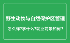 野生动物与自然保护区管理专业怎么样_就业方向及前景分析