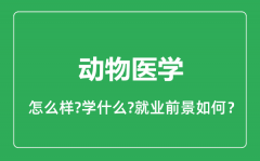 动物医学专业怎么样_动物医学专业就业方向及前景分析