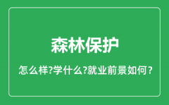 森林保护专业怎么样_森林保护专业就业方向及前景分析