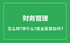 财务管理专业怎么样_财务管理专业就业方向及前景分析