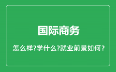 国际商务专业怎么样_国际商务专业就业方向及前景分析