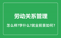 劳动关系管理专业怎么样_就业方向及前景分析