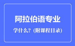 阿拉伯语专业主要学什么（附课程目录）