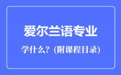 爱尔兰语专业主要学什么（附课程目录）