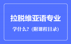 拉脱维亚语专业主要学什么（附课程目录）