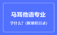 马耳他语专业主要学什么（附课程目录）