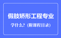 假肢矫形工程专业主要学什么（附课程目录）