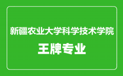 新疆农业大学科学技术学院王牌专业有哪些_最好的专业是什么