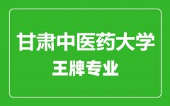 甘肃中医药大学王牌专业有哪些_最好的专业是什么