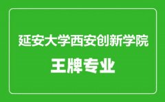 延安大学西安创新学院王牌专业有哪些_最好的专业是什么