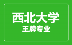 西北大学王牌专业有哪些_最好的专业是什么