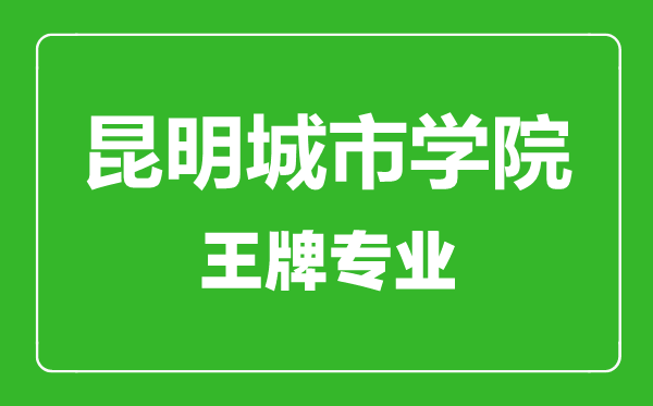 昆明城市学院王牌专业有哪些,昆明城市学院最好的专业是什么