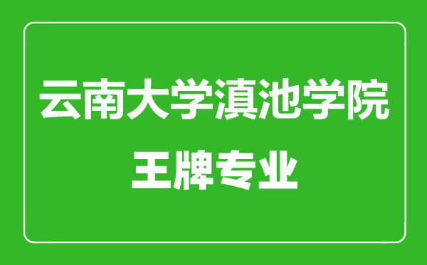 云南大学滇池学院王牌专业有哪些,云南大学滇池学院最好的专业是什么