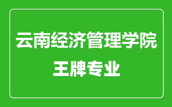 云南经济管理学院王牌专业有哪些,云南经济管理学院最好的专业是什么