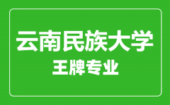 云南民族大学王牌专业有哪些_最好的专业是什么