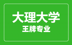 大理大学王牌专业有哪些_最好的专业是什么